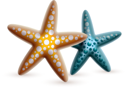 star-fish